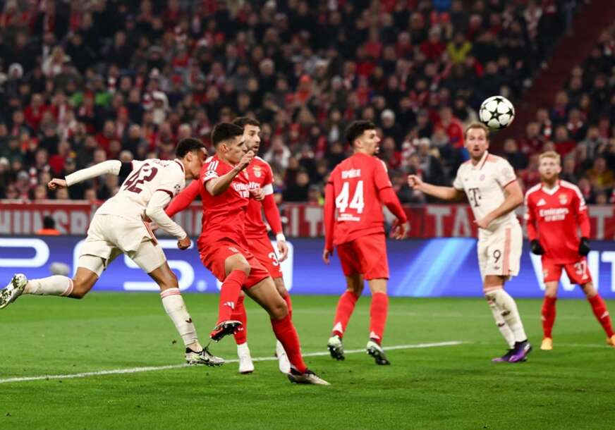 FOTO: EPA/ ANNA SZILAGYI