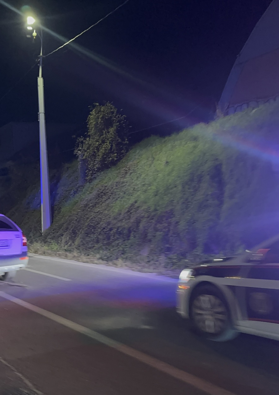 FOTO: ESET MURAČEVIĆ