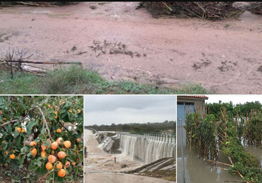FOTO: ASOCIACIÓN VALENCIANA DE AGRICULTORES 