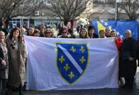 Naša stranka: Kriminalizacija ljiljana neće proći, historija se ne može izbrisati zakonom