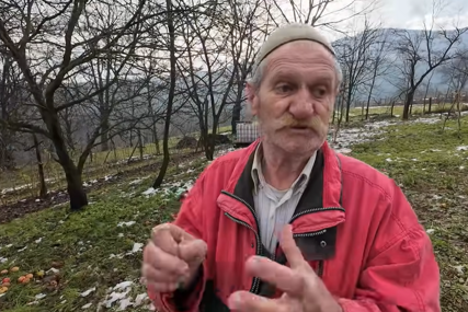 Mustafa Sivro ubrao pet tona domaćih jabuka iz svoje bašte (VIDEO)