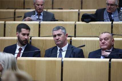 U toku sjednica Predstavničkog doma Federalnog parlamenta: Brojne teme na stolu