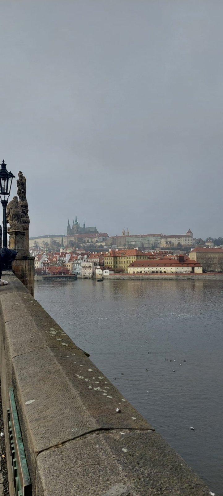 FOTO: USTUPLJENA FOTOGRAFIJA