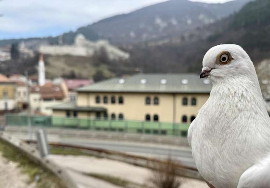 FOTO:  OPĆINA TRAVNIK