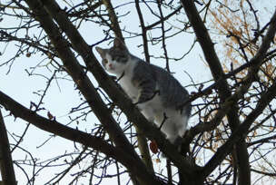 FOTO: E. MURAČEVIĆ