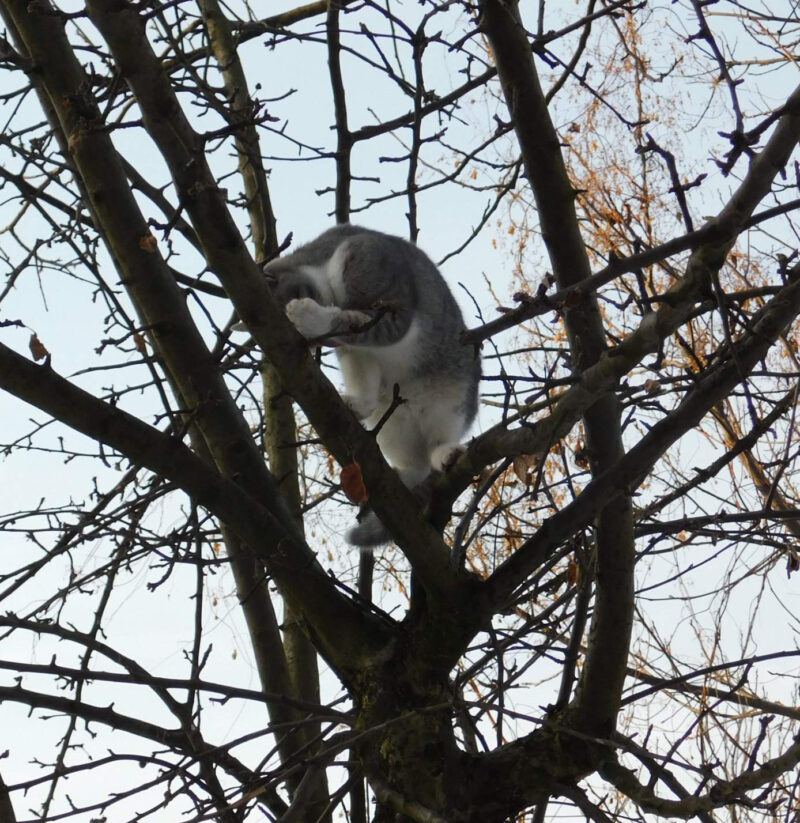 FOTO: E. MURAČEVIĆ