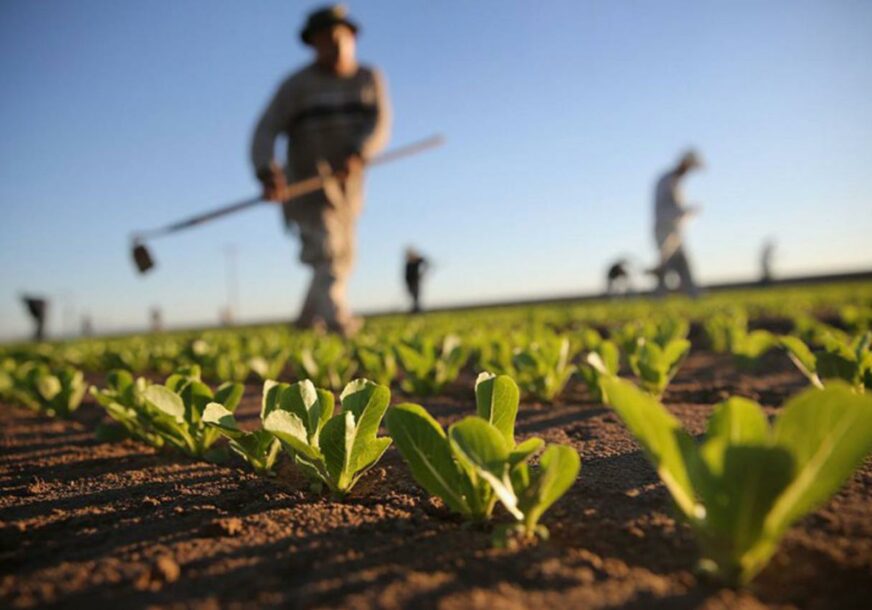 FOTO: EASTAFRICAN-AGRINEWS