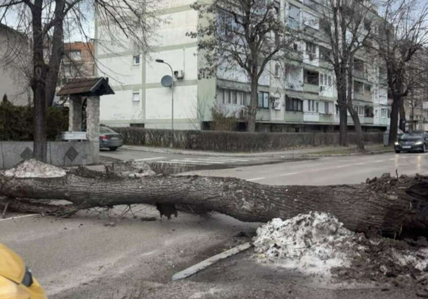 FOTO: SRPSKAINFO/USTUPLJENA FOTOGRAFIJA