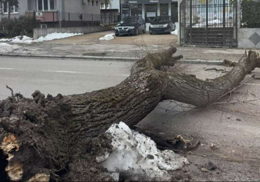 FOTO: SRPSKAINFO/USTUPLJENA FOTOGRAFIJA