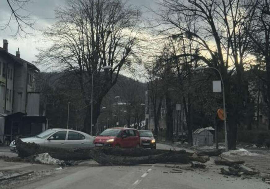 FOTO: SRPSKAINFO/USTUPLJENA FOTOGRAFIJA
