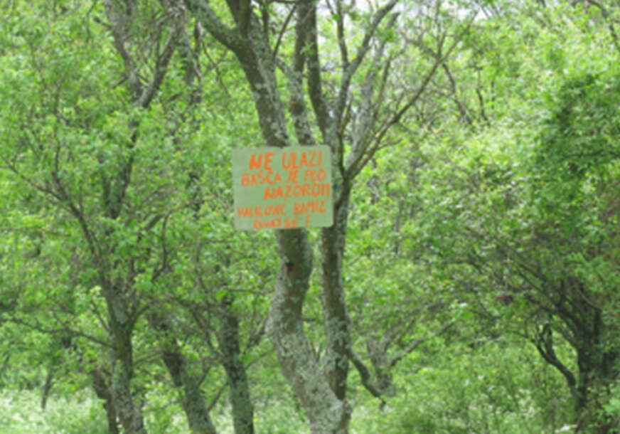 FOTO: E. MURAČEVIĆ