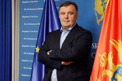 VUJOVIĆ UPOZORAVA Nikšiću i Herceg Novom prijeti beogradski scenario