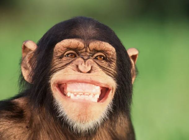 FOTO: THINKSTOCK/ILUSTRACIJA