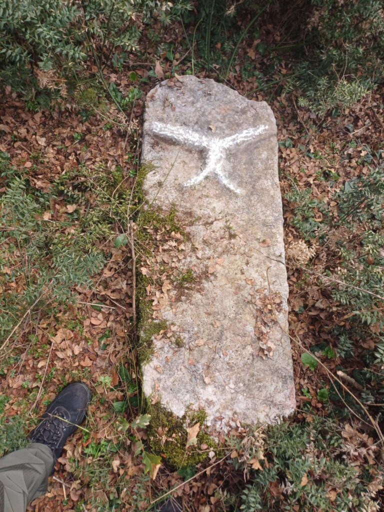 FOTO: FONDACIJE 