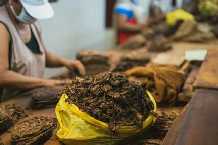 British American Tobacco pod istragom: U Keniji nestalo 28 miliona dolara poreza?