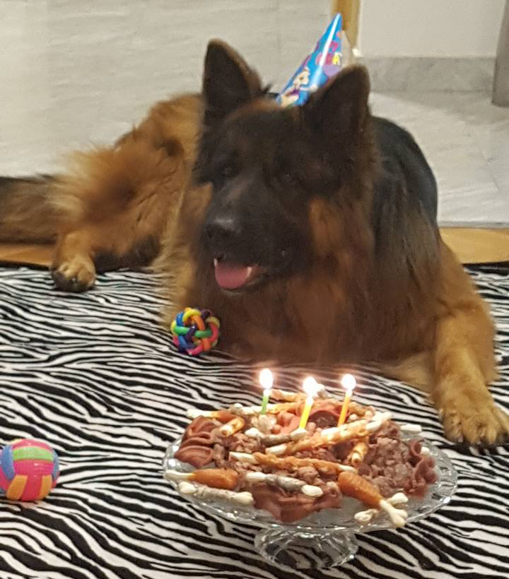 FOTO: E.MURAČEVIĆ
