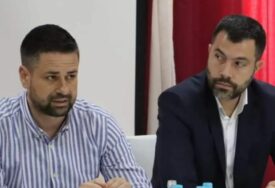 SNSD pisao europarlamentarcima: Kažu da je Schmidt nametnuo zakon kako bi osudio Dodika, rješenje vide u povlačenju istog