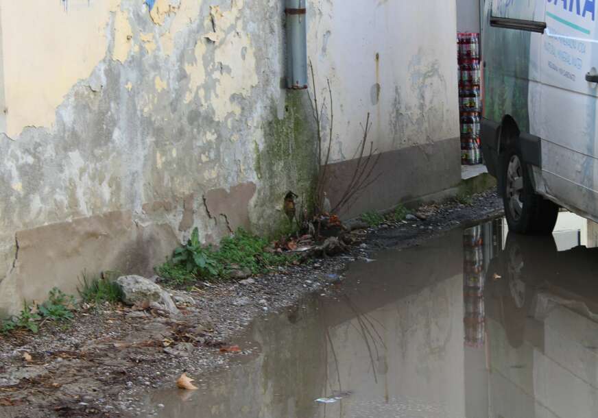 FOTO: E. MURAČEVIĆ