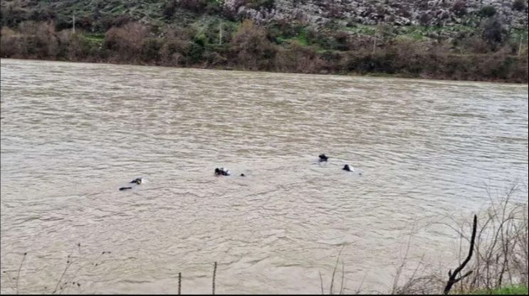 FOTO: REGIONALNI RONILAČKI CENTAR BIJELA