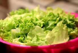 Zelena salata danima svježa: Trikovi koji stvarno pale