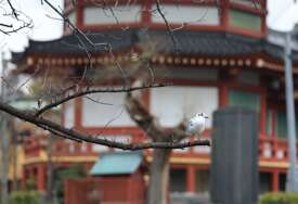Turisti masovno otkazuju putovanja u Japan