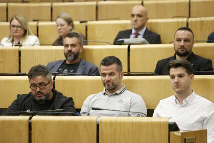 U Parlamentu Federacije BiH danas tematska sjednica o univerzalnom dječijem dodatku