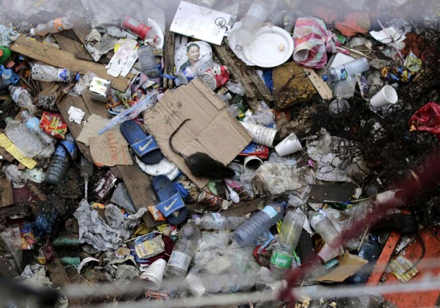 FOTO: EPA/ RATS GARBAGE