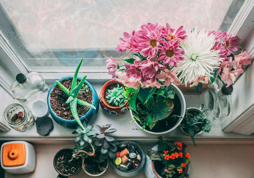 FOTO: UNSPLASH 