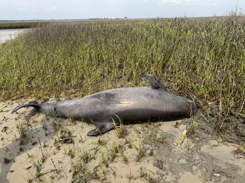FOTO: NOAA/MREŽA X