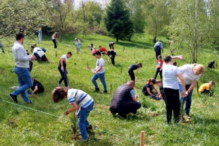 Memorijalna šuma sjećanja na Betaniji: Učenici sadili stabla u čast žrtava genocida u Srebrenici