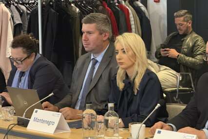 EU uplatila Crnoj Gori gotovo 27 miliona eura iz Plana rasta