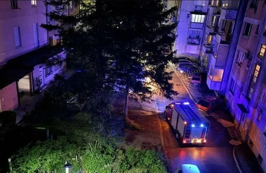 FOTO: NOVI KONJIC