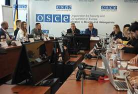 Nasilje u porodici i dalje prisutno, nužna puna primjena usvojene zakonske regulative