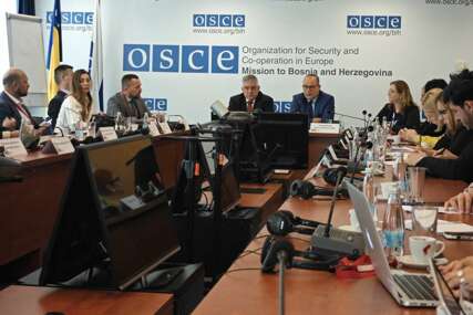 Nasilje u porodici i dalje prisutno, nužna puna primjena usvojene zakonske regulative