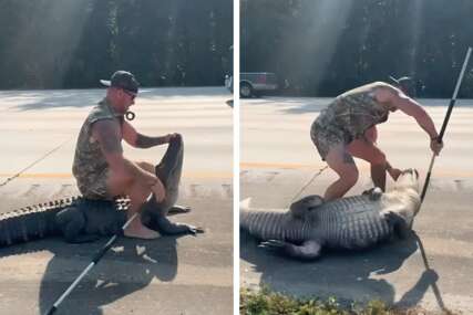 VIDEO Samo na Floridi: Tip se bos potukao s aligatorom
