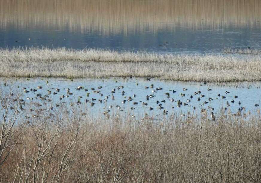 FOTO: PARK PRIRODE HUTOVO BLATO