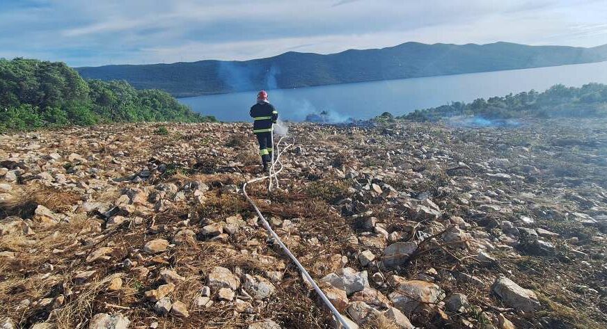FOTO: PVP NEUM