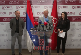 SNSD osudio usvajanje zakona koji su usvojeni bez njegovih zastupnika