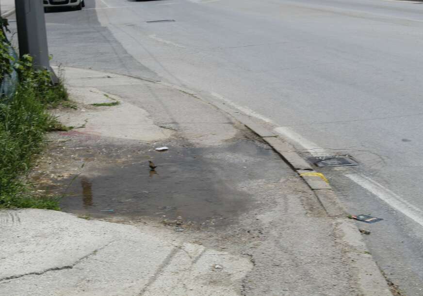 FOTO: E. MURAČEVIĆ