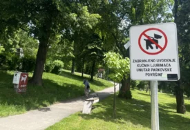 Građani zabrinuti: Je li povećan broj krpelja uzrok zabrane ljubimaca u Velikom parku?