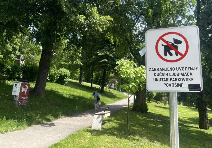 FOTO: N1