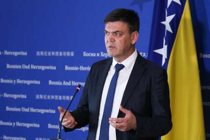 Cvitanović: Postoji apsolutna zainteresiranost članica PIC-a za europski put BiH