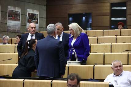 Zatražena istraga nakon odgođenja sjednice Doma naroda Parlamenta FBiH