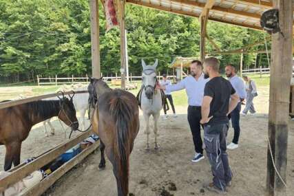 Cazin prepoznaje potencijal Begove farme: Jahanje konja kao nova atrakcija u turističkoj ponudi
