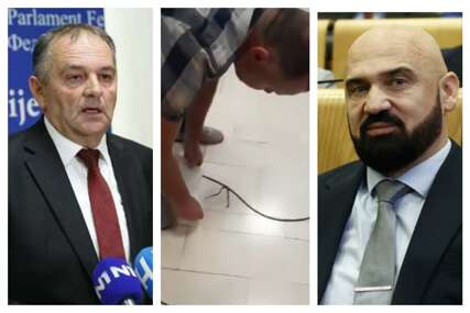 Martinović i Isak "zakuhali" zbog zmije: Ministar poslao snimak zmije zbog koje je otkazana sjednica (VIDEO)