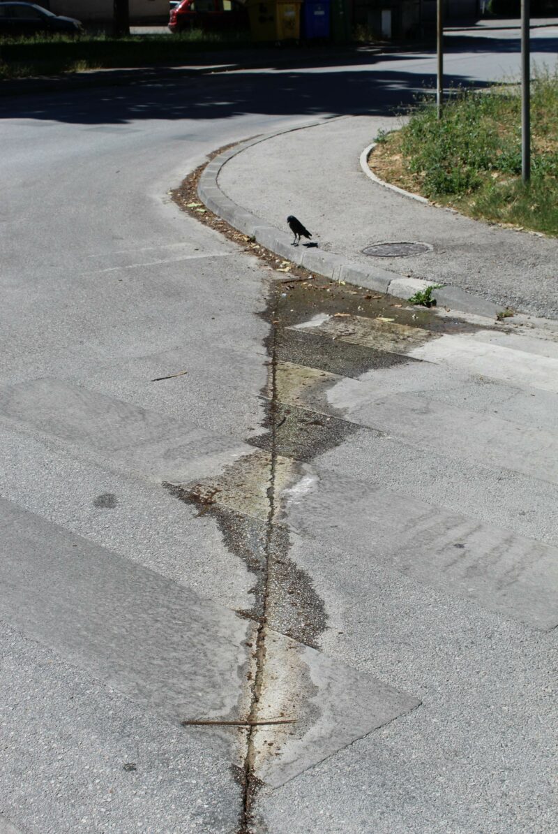 FOTO: E. MURAČEVIĆ