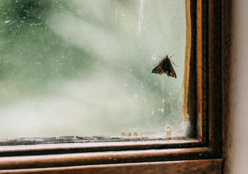 FOTO: PEXELS.COM/TARYN-ELLIOTT