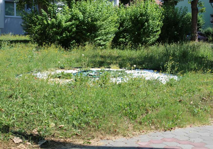 FOTO: E. MURAČEVIĆ