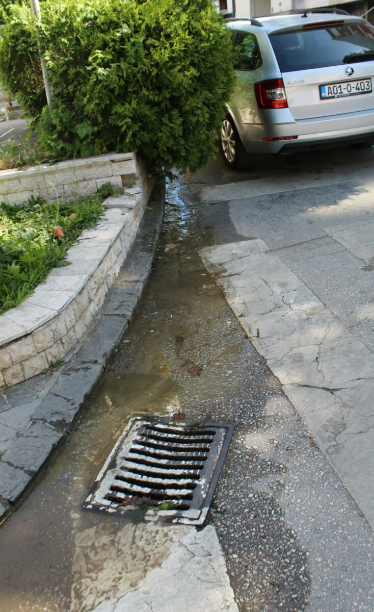 FOTO: E. MURAČEVIĆ