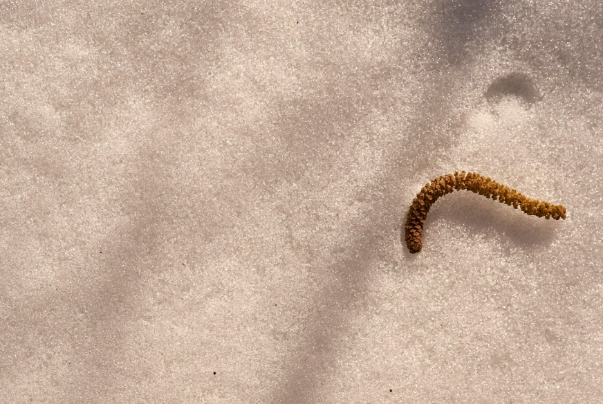 FOTO: UNSPLASH